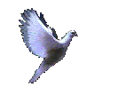 133067xbexhdauku.gif