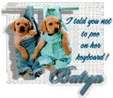 myspace layouts, myspace codes, glitter graphics