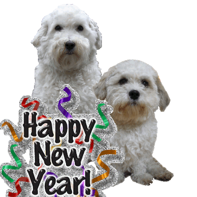 cute dogs happy near year Comments Holidays Comments