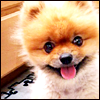http://dl7.glitter-graphics.net/pub/1909/1909437iib6g7ihm7.png