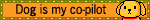 myspace layouts, myspace codes, glitter graphics