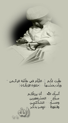2445197t18cdqdnlr.jpg