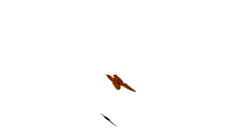 2813237byvz41h4b2.gif