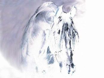 horse