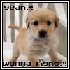 myspace layouts, myspace codes, glitter graphics