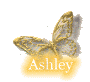 myspace layouts, myspace codes, glitter graphics