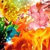 myspace layouts, myspace codes, glitter graphics
