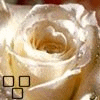 myspace layouts, myspace codes, glitter graphics