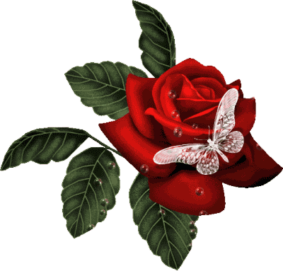 Red Rose love graphics