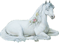 white horse, horse animation,horse free clip art